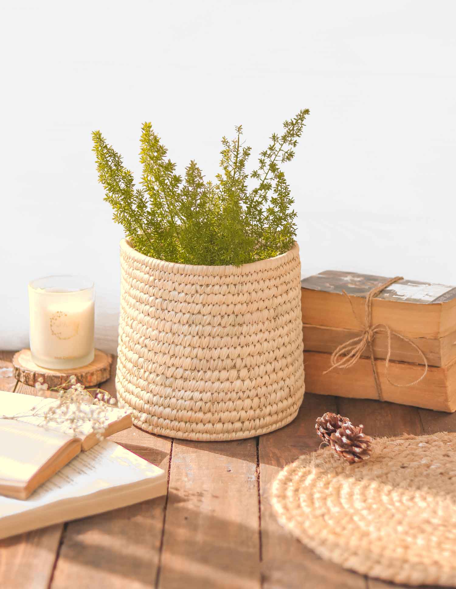 Natural planters and plant hangers