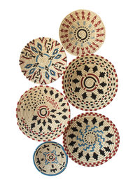 Wild petals Wall Basket set of 6
