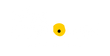 Wild Sunflower