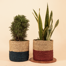 indoor planters