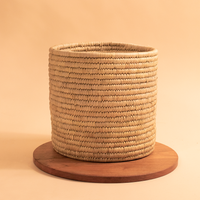 Date palm planter- Tabletop plant pot